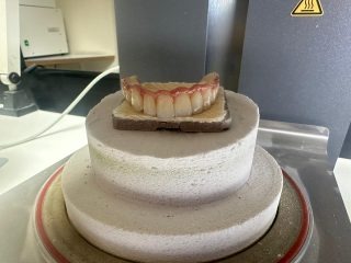 Dientes en un molde dental